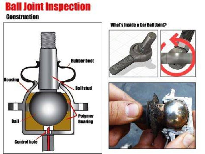 Are ball joints only in the front?