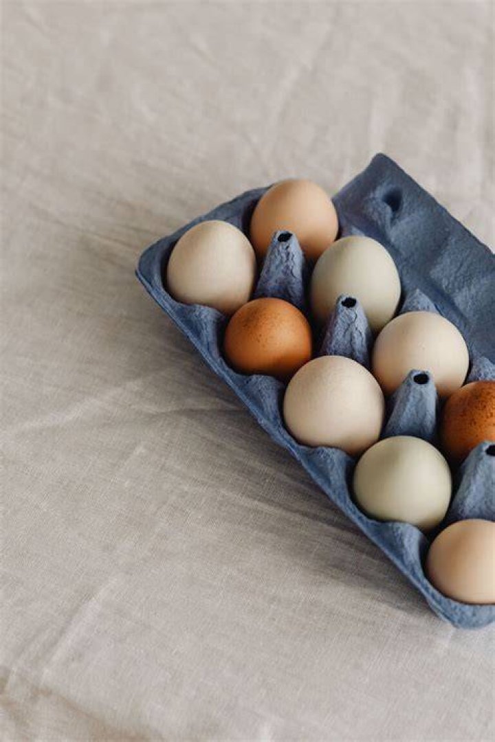 Are eggs good for your eyes?