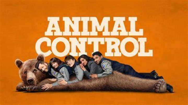 Are gators afraid of cats?