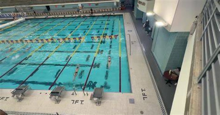 Are gophers good swimmers?