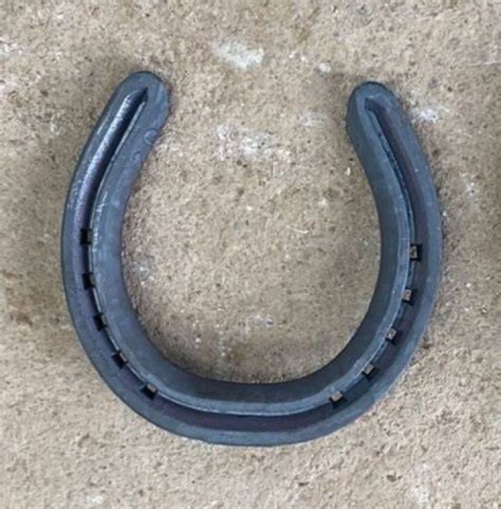 Are horseshoes mild steel?
