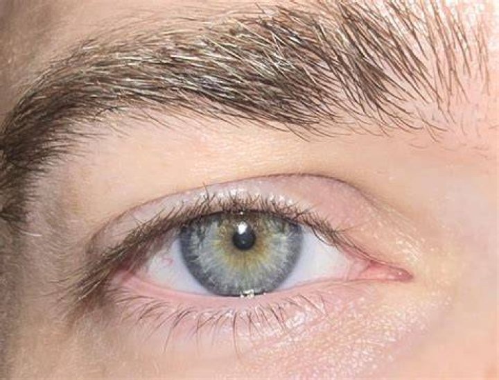 Are my eyes blue or gray?