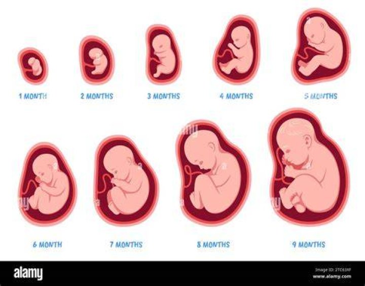Are the first 3 months with baby the hardest?