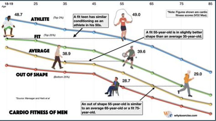 At what age does an athlete peak?