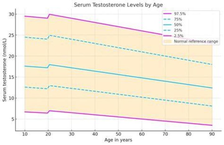 At what age is testosterone the highest?