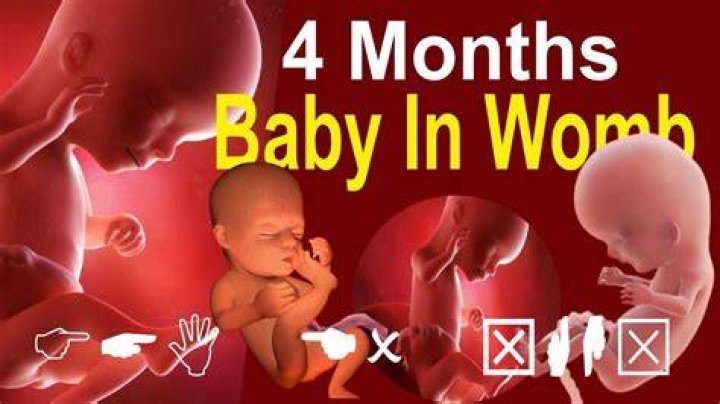 Can a baby defecate in the womb?