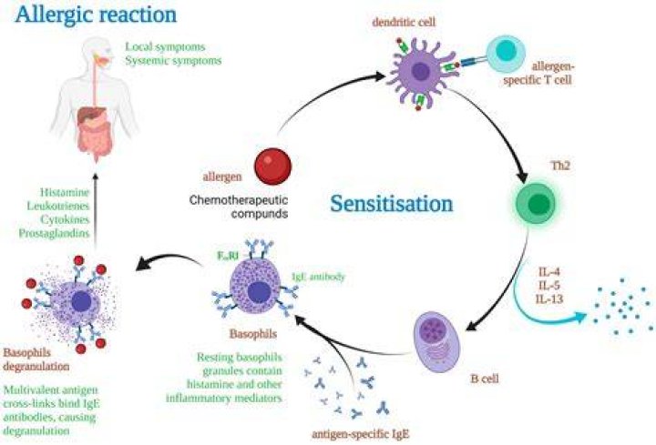 Can a person be allergic to alginate?
