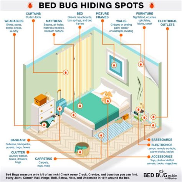 Can bed bugs be contained to one room?