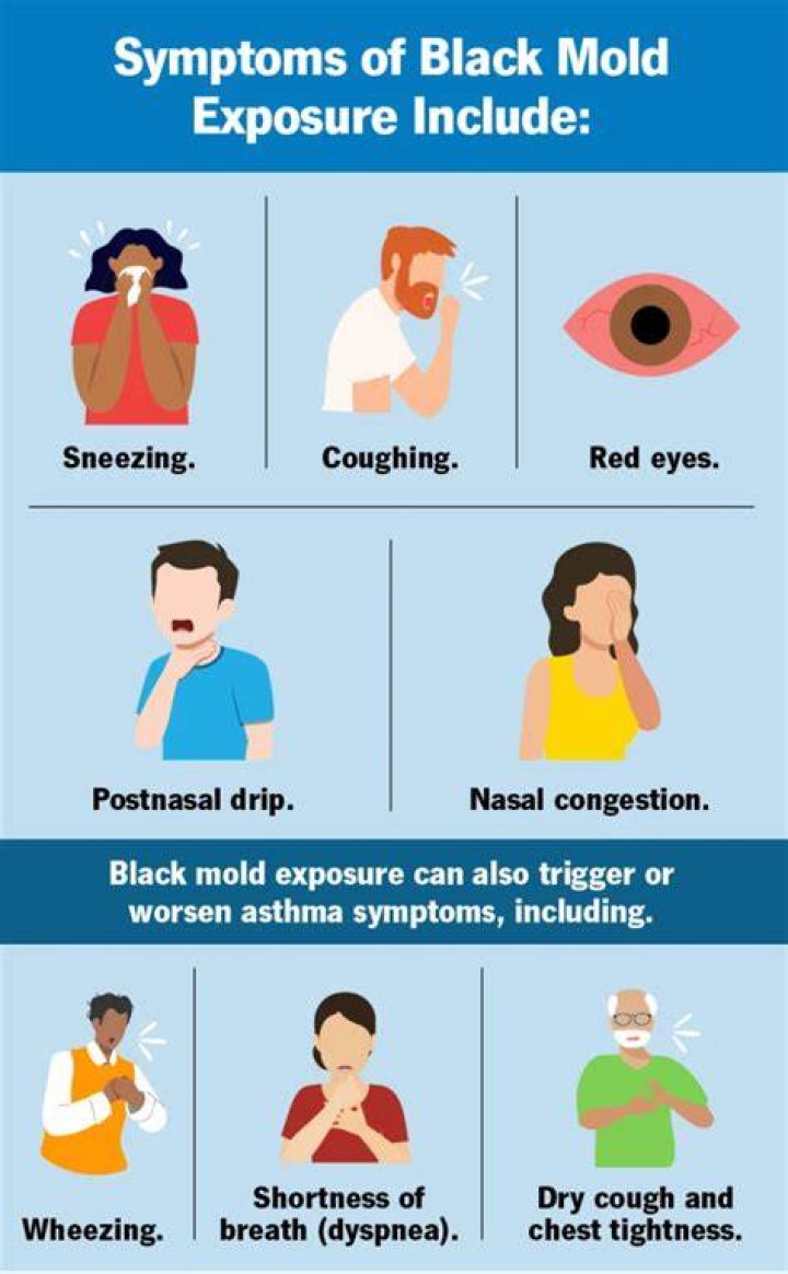 Can black mold cause pneumonia?
