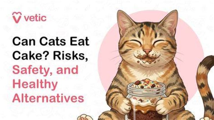 Can cats eat cake?