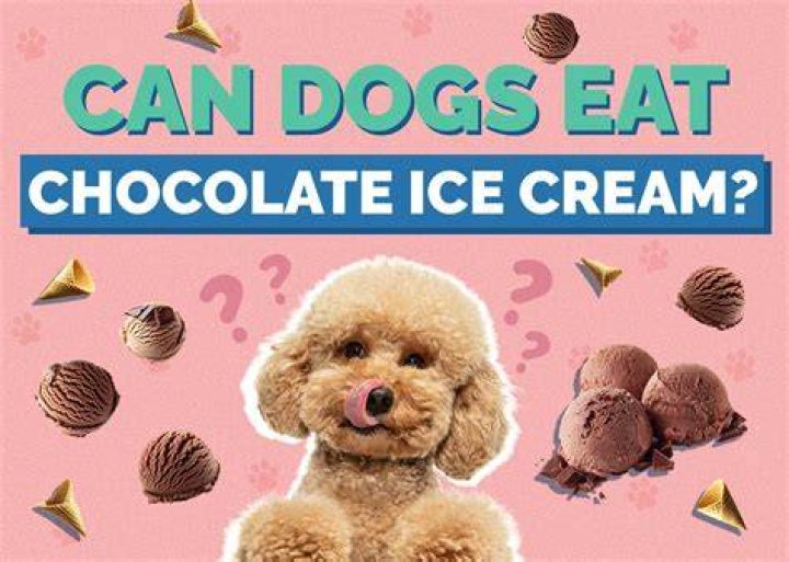 Can dogs eat chocolate ice cream?