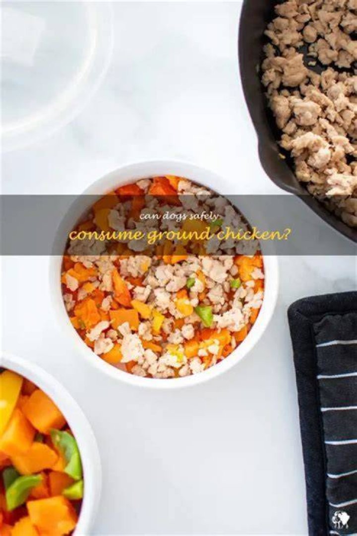 Can dogs eat ground chicken?