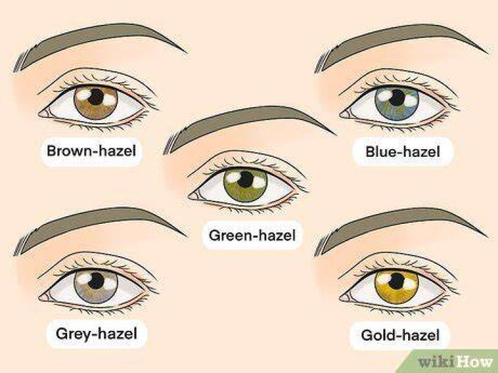Can hazel eyes be blue?
