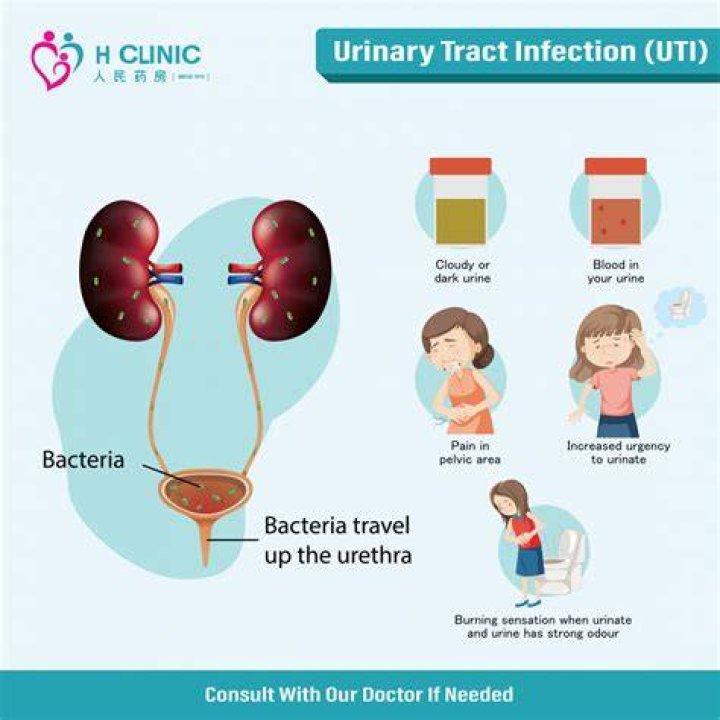 Can honey help with UTI?