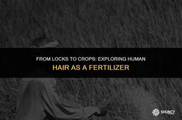 Can human hair be used as fertilizer?
