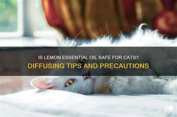 Can I diffuse lemon around my cat?