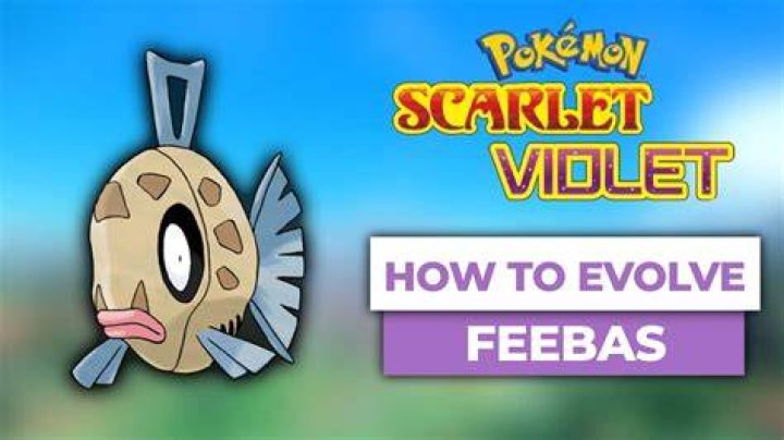Can I evolve Feebas with bold nature?