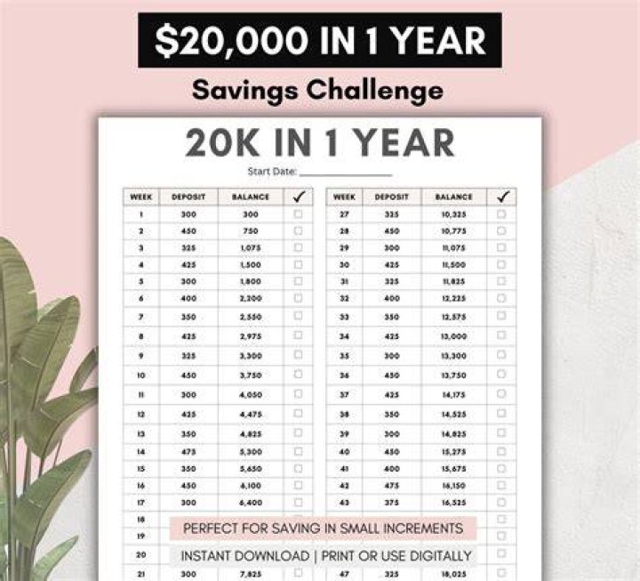 Can I live on 20k a year?