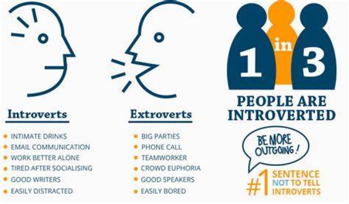 Can introverts run a business?