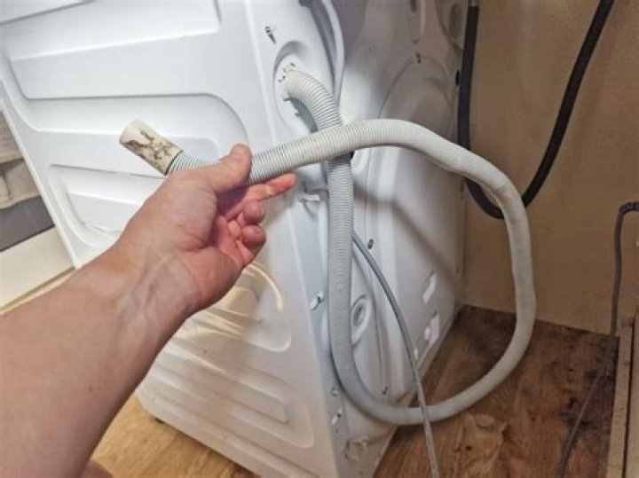 Can rats get into washing machine?