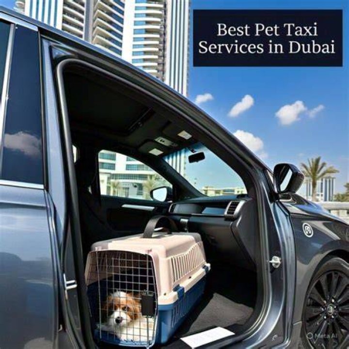 Can taxi take pets?