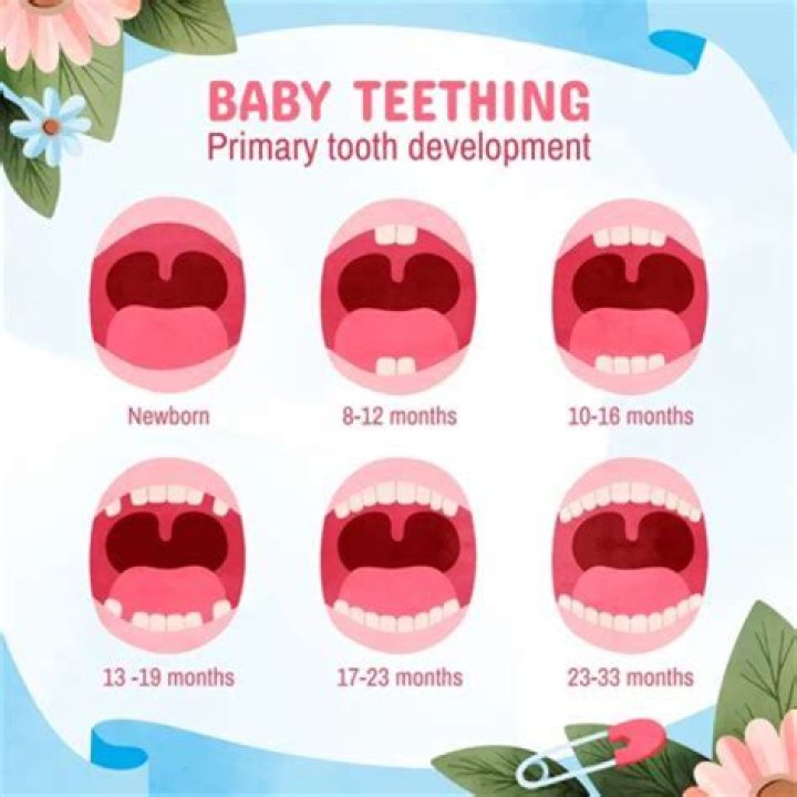 Can teeth grow at age 35?