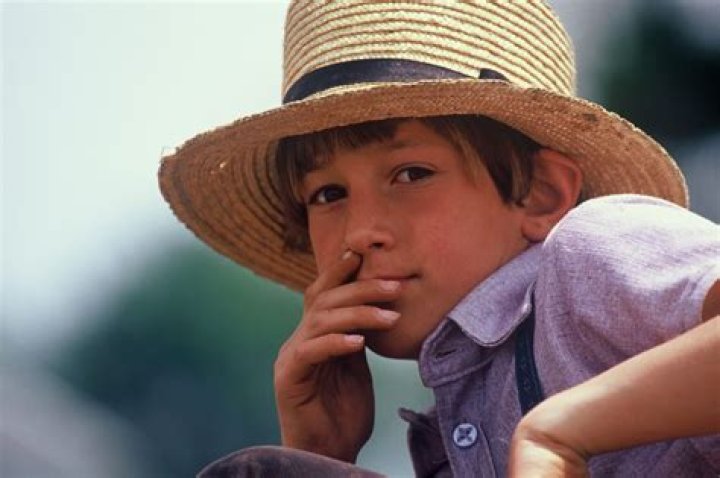 Can the Amish defend themselves?
