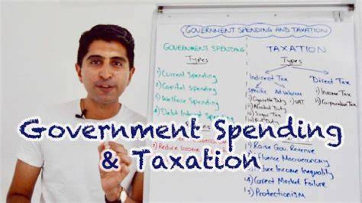 Can the government tax itself?