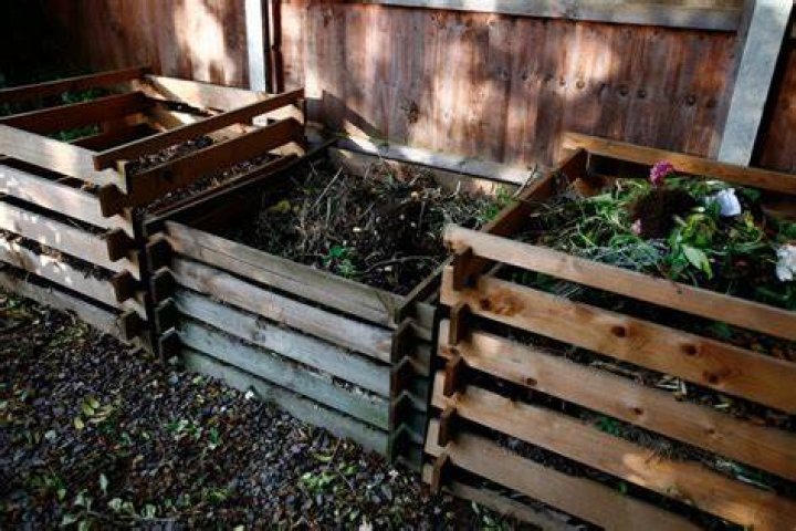 Can worm bins get overcrowded?