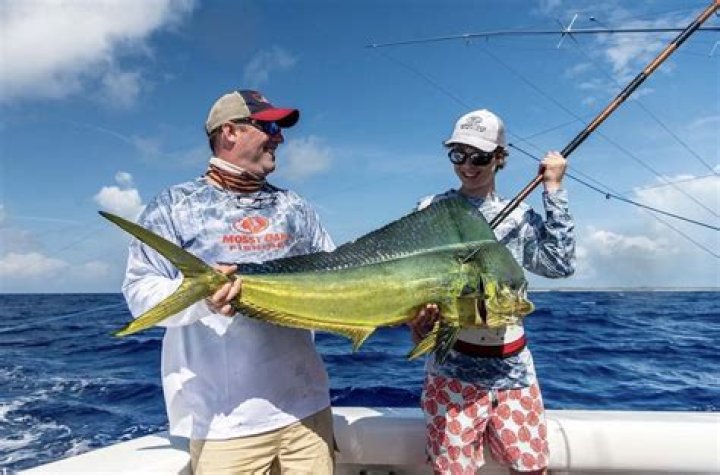 Can you catch mahi in Fort Myers?