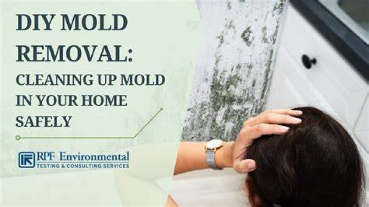 Can you clean up mold yourself?