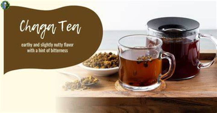 Can you drink chaga tea everyday?