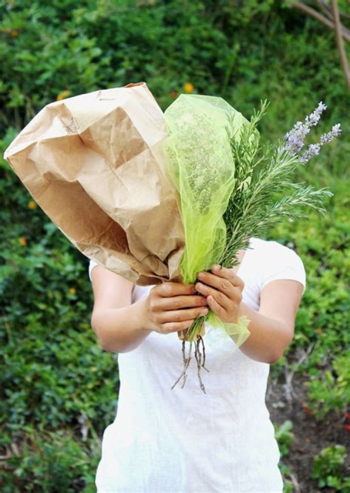 Can you dry herbs in a brown bag?