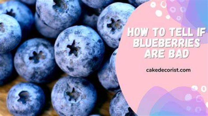 Can you eat moldy blueberries?