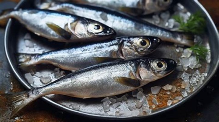 Can you eat the bones in sardines?