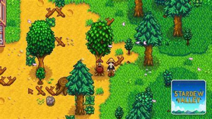 Can you get sick Stardew Valley?