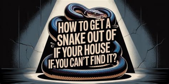 Can you hear a snake in your house?