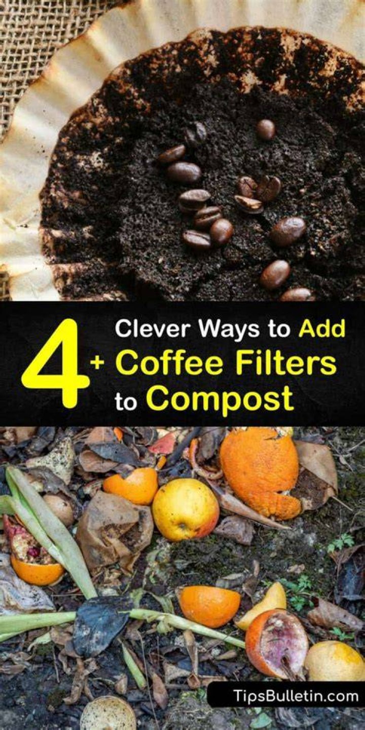 Can you put coffee filters in compost?