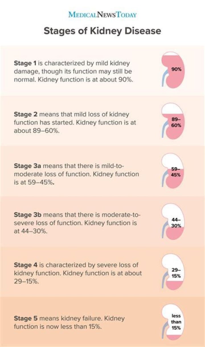Can you stop kidney disease progressing?
