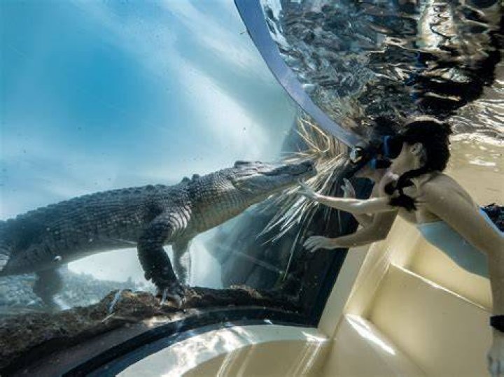 Can you swim at Port Douglas in June?