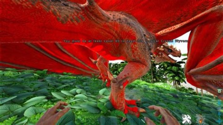 Can you tame a wyvern?