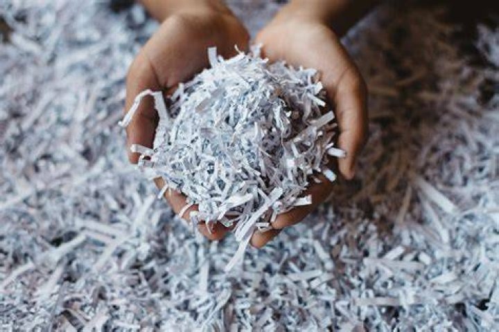Can you use shredded paper as cat litter?
