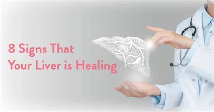 Can your liver heal itself from Tylenol?