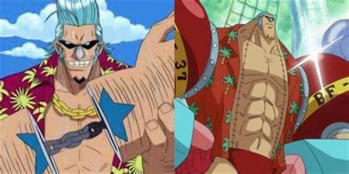 Did Franky have the blueprints to Pluton?