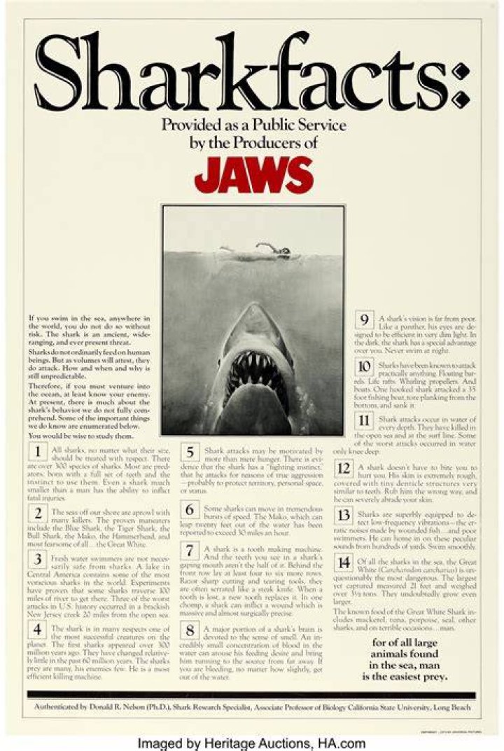 Did Jaws make a profit?