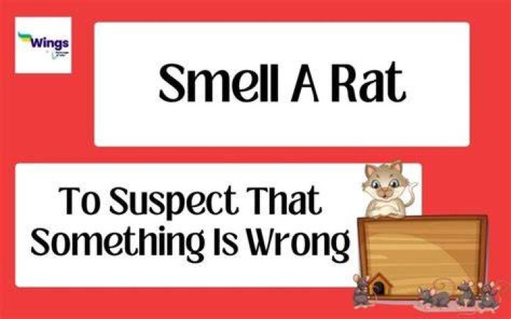 Did someone smell a rat?