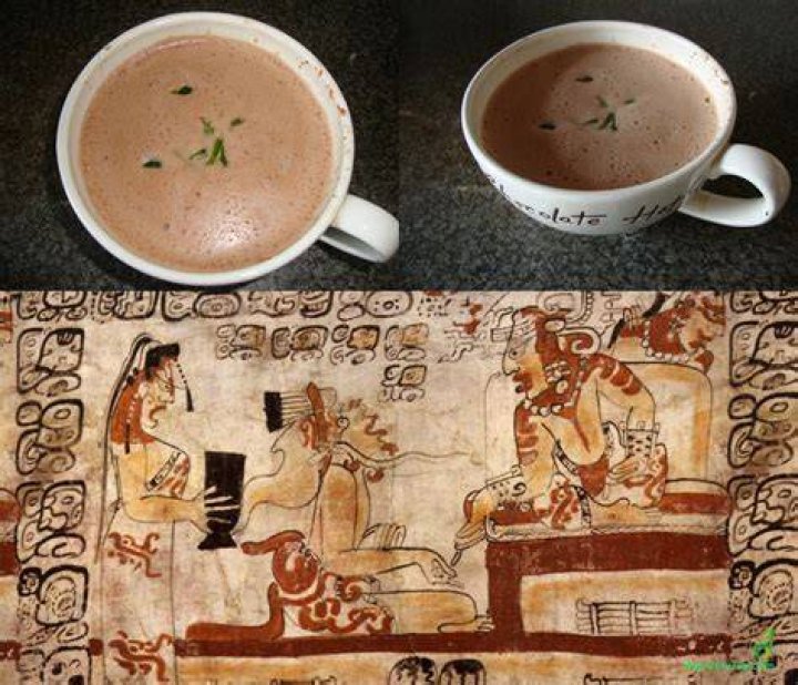 Did the Mayans drink milk?