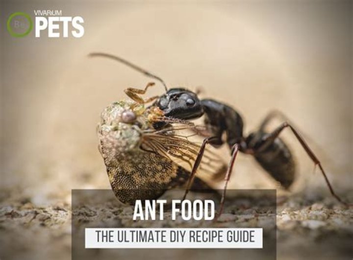 Do ants eat everything?