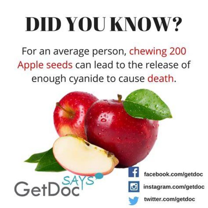 Do apples have cyanide?