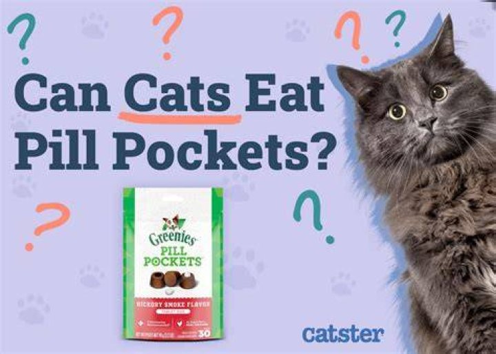Do cats Like pill Pockets?